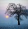 Mist, Selke��